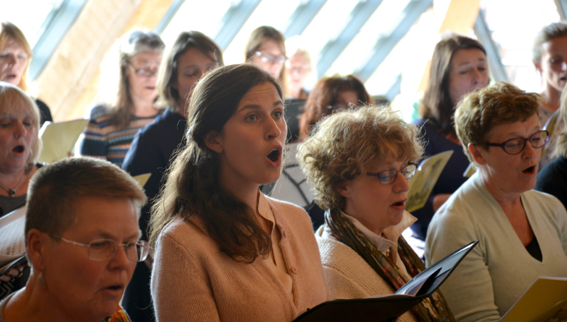repetitie