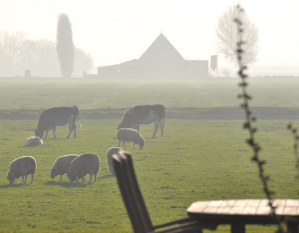 mist